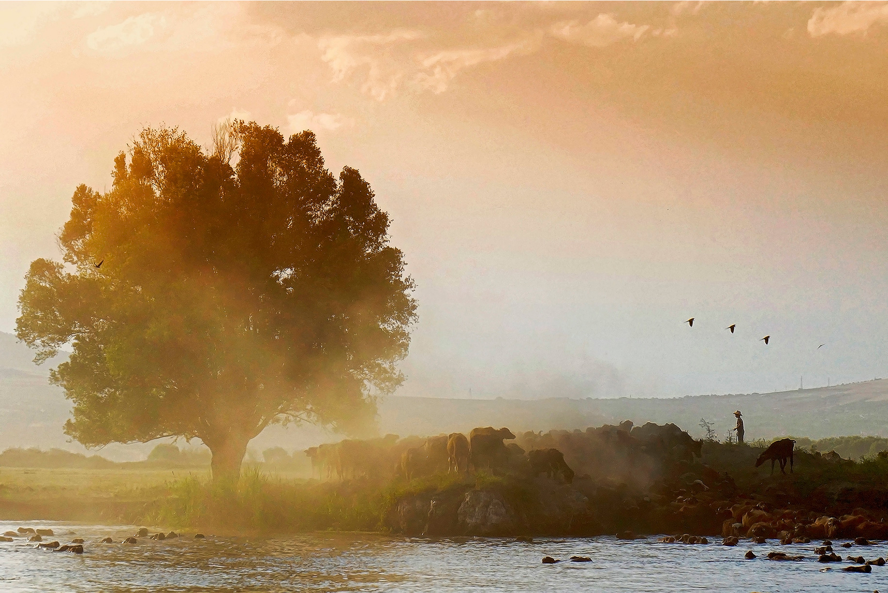 Cappadocia Photographer