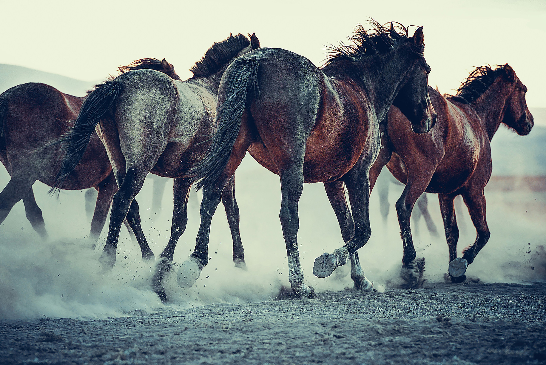 Cappadocia Photographer