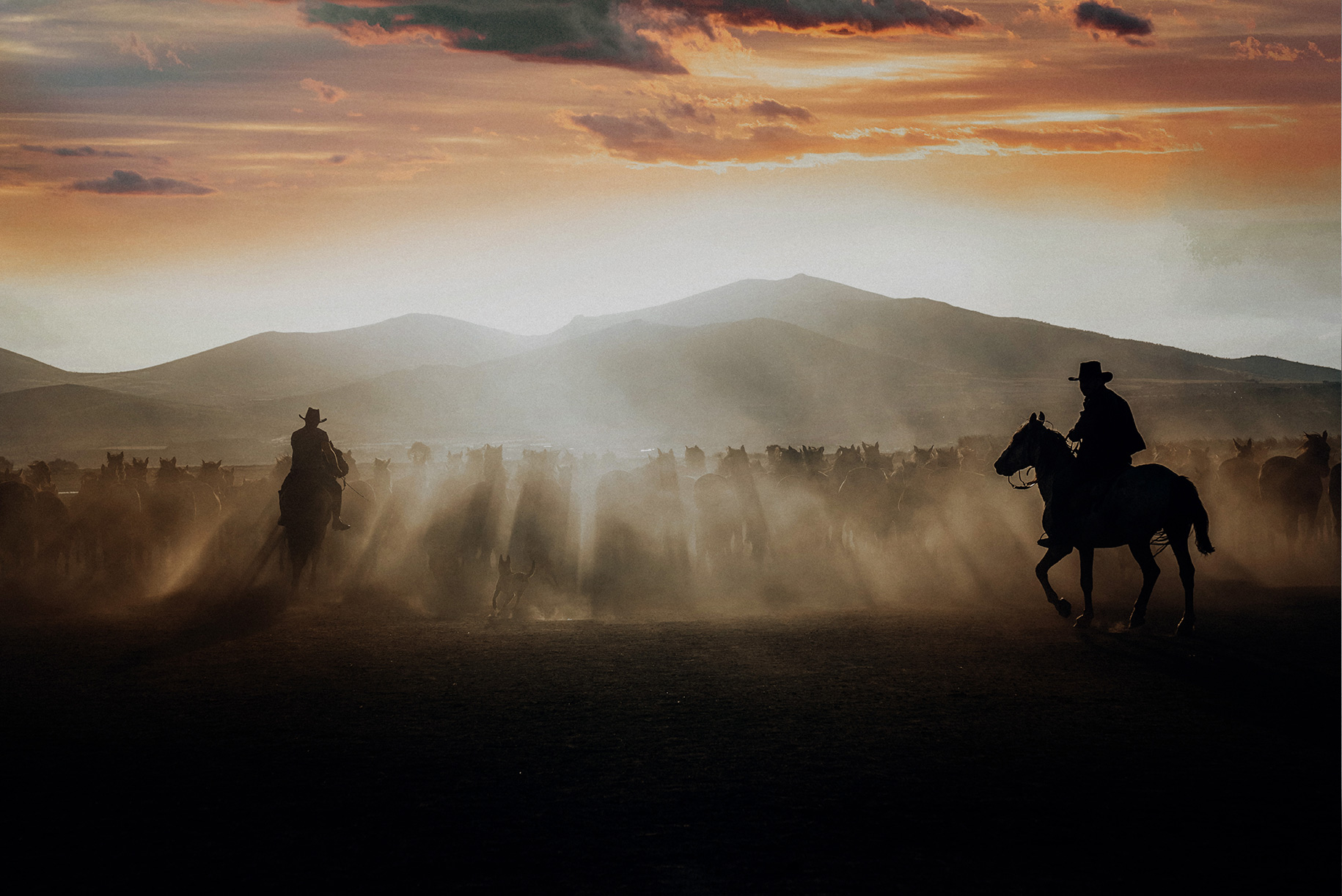 Cappadocia Photographer