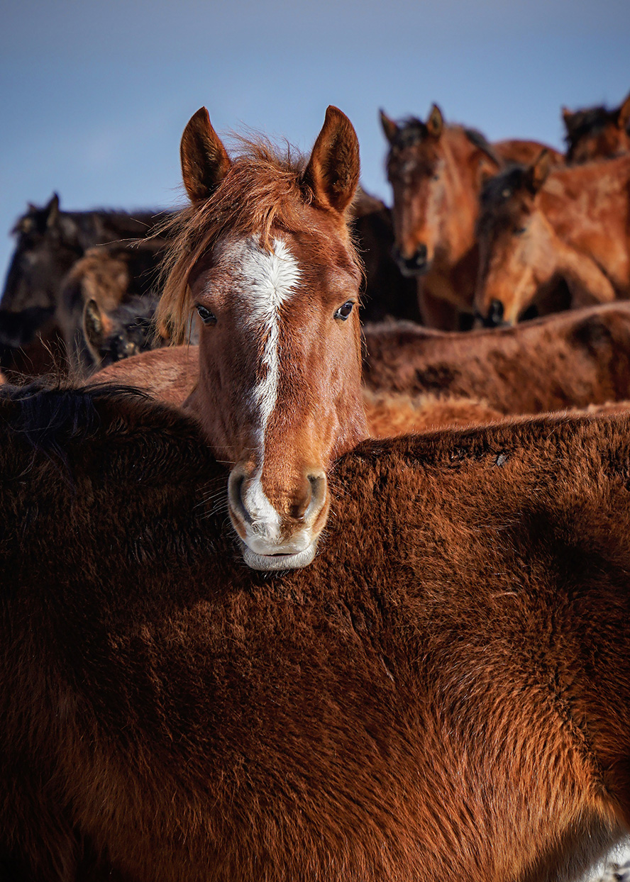 Cappadocia Photographer