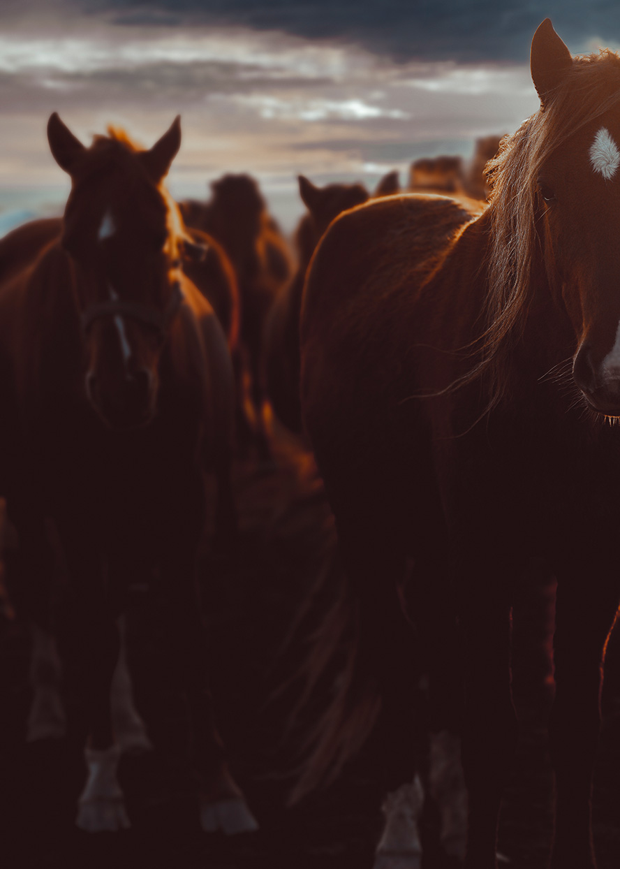 Cappadocia Photographer